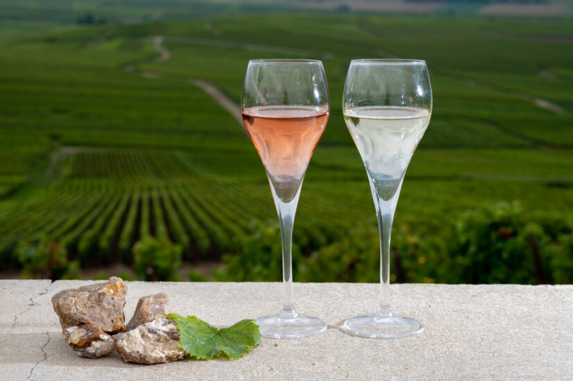Glasses of white and rose brut champagne wine, firestones from vineyard soil and view on grand cru vineyards of Montagne de Reims near Verzenay, Champagne, France