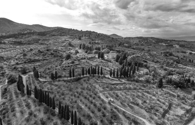 Capezzana, una storia millenaria, e l&rsquo;ultimo secolo guidato dai Conti Contini Bonacossi