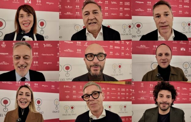 Entusiasmo, bellezza, sperimentazione, stabilit&agrave;, resilienza: il futuro del vino italiano