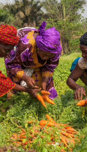 Il 2026 sar&agrave; l&rsquo;&ldquo;Anno Internazionale della Donna in Agricoltura&rdquo; proclamato dall&rsquo;Onu