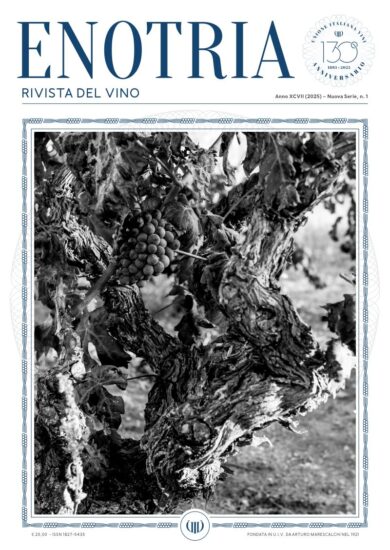 La nuova “Enotria” 