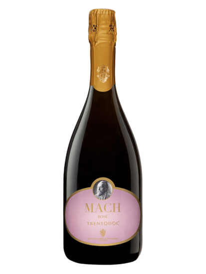 FONDAZIONE MACH, TRENTINO, Su i Vini di WineNews