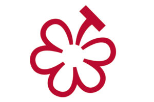 La Michelin entra ufficialmente nel mondo del vino, con la “Wine Selection” ed i “Michelin Grapes”