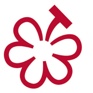 La Michelin entra ufficialmente nel mondo del vino, con la “Wine Selection” ed i “Michelin Grapes”