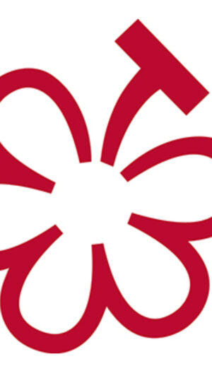 La Michelin entra ufficialmente nel mondo del vino, con la “Wine Selection” ed i “Michelin Grapes”