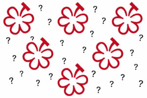 &ldquo;Michelin Grapes&rdquo;, la nuova &ldquo;Wine Selection&rdquo; raccontata, a WineNews, dalla Guida Michelin