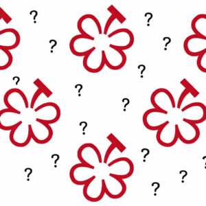 &ldquo;Michelin Grapes&rdquo;, la nuova &ldquo;Wine Selection&rdquo; raccontata, a WineNews, dalla Guida Michelin