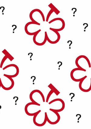 &ldquo;Michelin Grapes&rdquo;, la nuova &ldquo;Wine Selection&rdquo; raccontata, a WineNews, dalla Guida Michelin