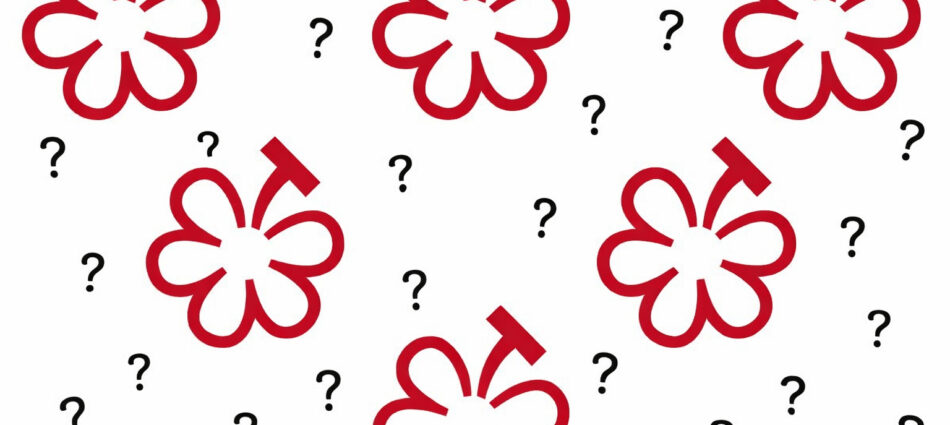 &ldquo;Michelin Grapes&rdquo;, la nuova &ldquo;Wine Selection&rdquo; raccontata, a WineNews, dalla Guida Michelin