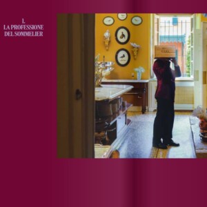 Anche gli aspiranti sommelier hanno la loro guida, firmata dal professor Giuseppe Vaccarini