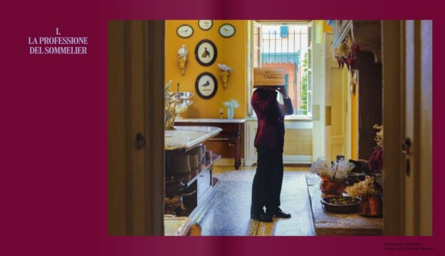 Anche gli aspiranti sommelier hanno la loro guida, firmata dal professor Giuseppe Vaccarini
