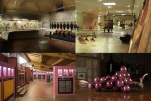 Un invito a camminare l’Italia del vino nella guida “Cantine d’Italia” 2026 by Go Wine