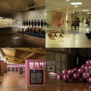 Un invito a camminare l&rsquo;Italia del vino nella guida &ldquo;Cantine d&rsquo;Italia&rdquo; 2026 by Go Wine