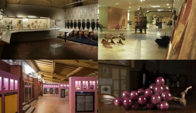 Un invito a camminare l&rsquo;Italia del vino nella guida &ldquo;Cantine d&rsquo;Italia&rdquo; 2026 by Go Wine