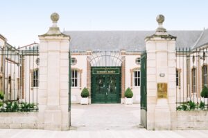 Un premio per la sostenibilit&agrave;: Iris van Herpen vince il &ldquo;Perrier-Jou&euml;t Design for Nature Award&rdquo;