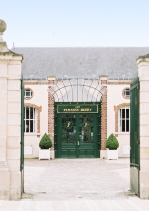 Un premio per la sostenibilit&agrave;: Iris van Herpen vince il &ldquo;Perrier-Jou&euml;t Design for Nature Award&rdquo;