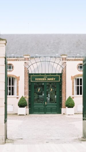 Un premio per la sostenibilit&agrave;: Iris van Herpen vince il &ldquo;Perrier-Jou&euml;t Design for Nature Award&rdquo;