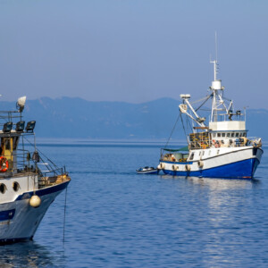 Da Agrifish no ai tagli alle giornate di pesca nel 2026 che avrebbero messo in crisi il settore