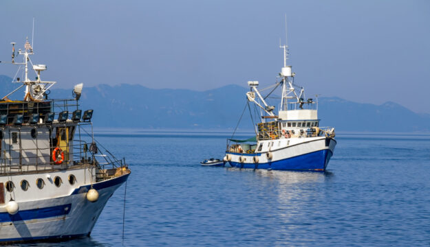 Da Agrifish no ai tagli alle giornate di pesca nel 2026 che avrebbero messo in crisi il settore