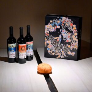 Difendere il dono della vista: la sfida che guida il Santalucia 2024, il vino solidale di Maculan