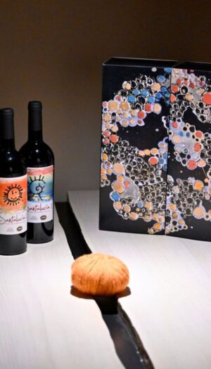 Difendere il dono della vista: la sfida che guida il Santalucia 2024, il vino solidale di Maculan