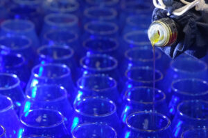 Olio italiano, campagna 2025/2026 a 200.000 tonnellate. Dal 1 al 3 marzo 2026, torna&nbsp;&ldquo;Sol Expo&rdquo;&nbsp;