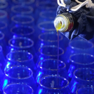 Olio italiano, campagna 2025/2026 a 200.000 tonnellate. Dal 1 al 3 marzo 2026, torna&nbsp;&ldquo;Sol Expo&rdquo;&nbsp;