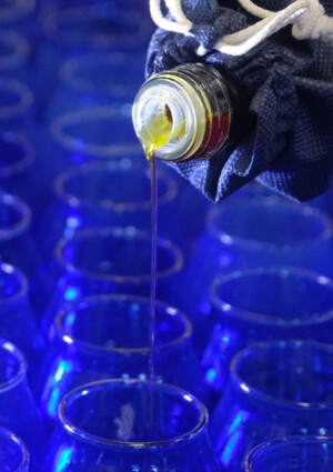 Olio italiano, campagna 2025/2026 a 200.000 tonnellate. Dal 1 al 3 marzo 2026, torna&nbsp;&ldquo;Sol Expo&rdquo;&nbsp;