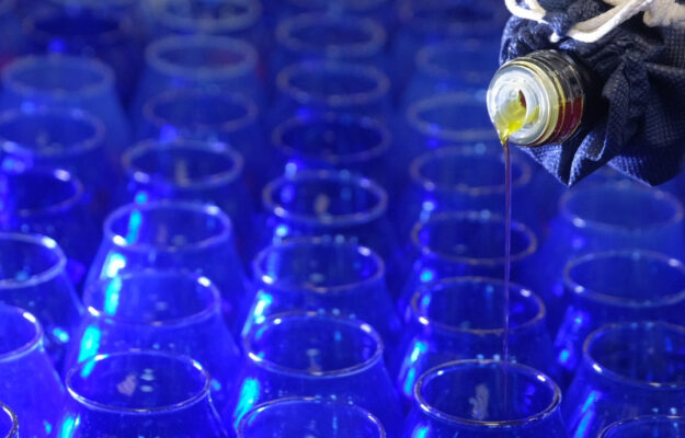 AGENZIA ICE, MADE IN ITALY, MERCATI, OLIO ITALIANO, RISTORAZIONE, SOL EXPO, VERONA, VERONAFIERE, Non Solo Vino