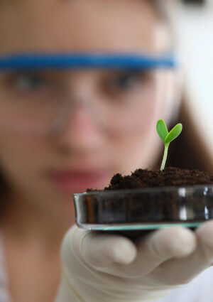 Intesa in Ue per lo sviluppo delle Tea in agricoltura: “passo avanti decisivo, adesso la legge”