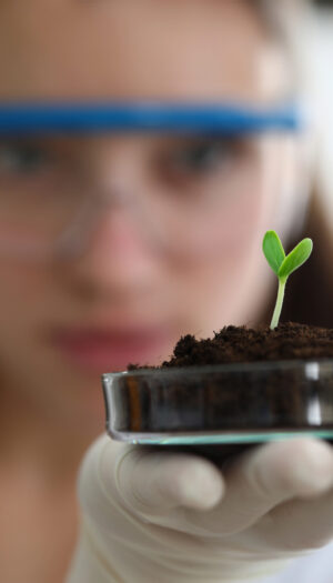 Intesa in Ue per lo sviluppo delle Tea in agricoltura: “passo avanti decisivo, adesso la legge”