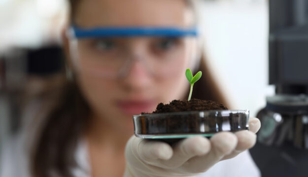 Intesa in Ue per lo sviluppo delle Tea in agricoltura: “passo avanti decisivo, adesso la legge”