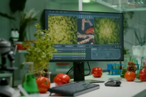 Nascono gli snack ispirati alla Dieta Mediterranea come modello alimentare sano e sostenibile