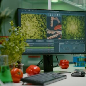 Nascono gli snack ispirati alla Dieta Mediterranea come modello alimentare sano e sostenibile