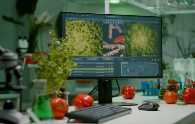 cibo spazzatura, DIETA MEDITERRANEA, Enea, FONDAZIONE MACH, NUOVE TECNOLOGIE, PROMEDLIFE, SALUTE, SNACK, Non Solo Vino