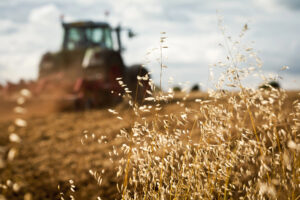 Agricoltura, nel primo semestre 2025 sono cresciuti i finanziamenti alle imprese (+30,5%)