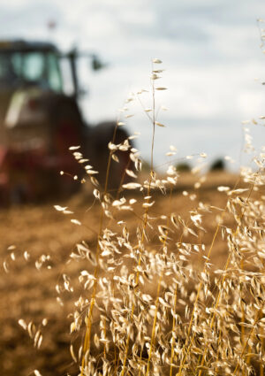 Agricoltura, nel primo semestre 2025 sono cresciuti i finanziamenti alle imprese (+30,5%)