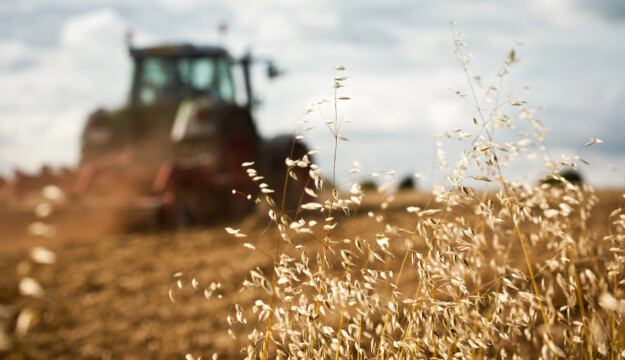 Agricoltura, nel primo semestre 2025 sono cresciuti i finanziamenti alle imprese (+30,5%)