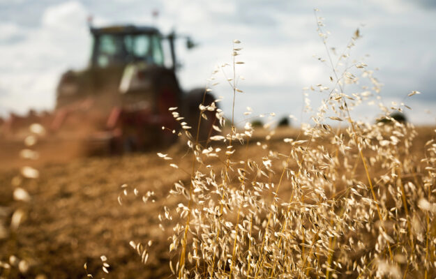 AGRICOLTURA, COOPERATIVA AGRICOLA, CRIF, CRIF RATINGS, FINANZIAMENTI, IMPRESE AGRICOLE, Non Solo Vino