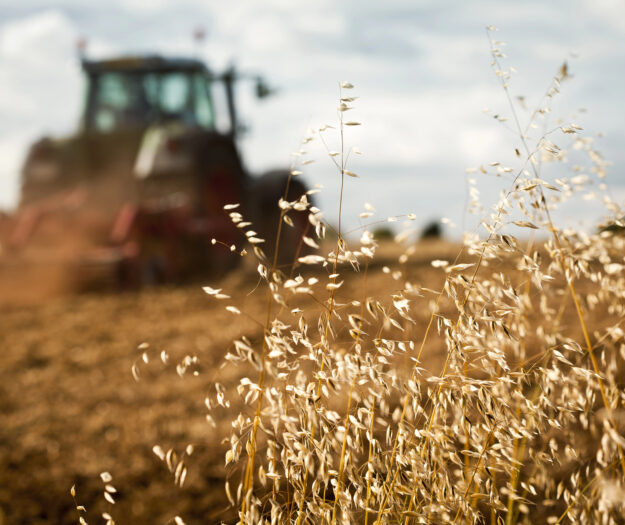 Agricoltura, nel primo semestre 2025 sono cresciuti i finanziamenti alle imprese (+30,5%)