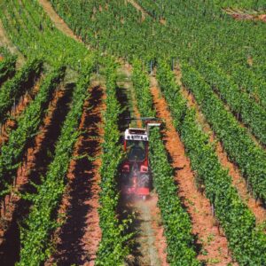 Quanto vale l&rsquo;agroalimentare italiano? 700 miliardi di euro, ovvero il 15% dell&rsquo;economia nazionale