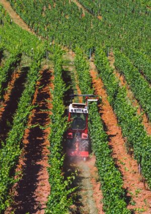 Quanto vale l&rsquo;agroalimentare italiano? 700 miliardi di euro, ovvero il 15% dell&rsquo;economia nazionale