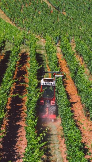 Quanto vale l&rsquo;agroalimentare italiano? 700 miliardi di euro, ovvero il 15% dell&rsquo;economia nazionale