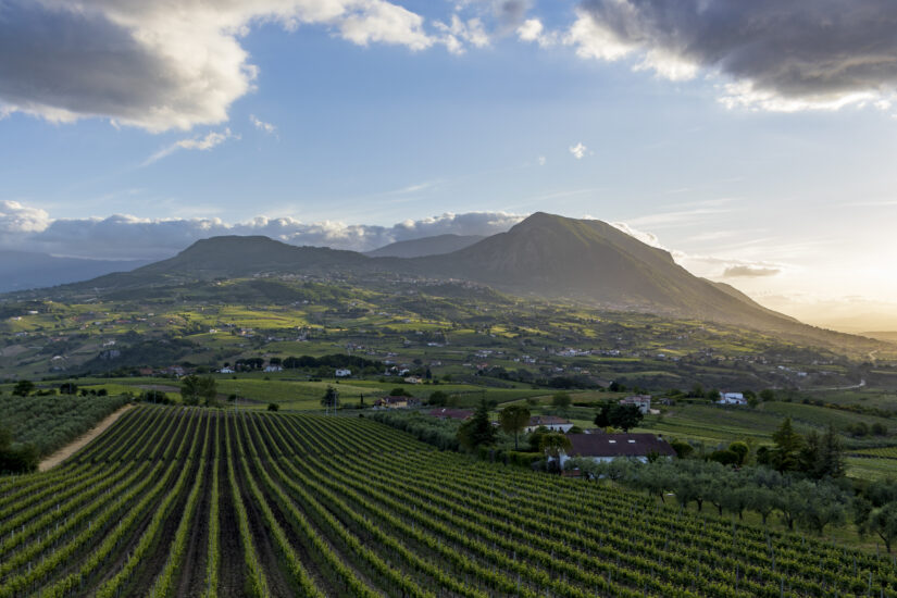Il territorio del Sannio (ph: Antonio Citrigno)
