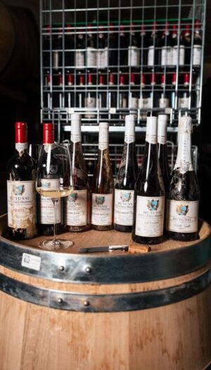 Butussi, nel Collio colpito dal maltempo, mette in vendita i “vini alluvionati” per ripartire