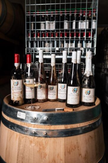 Il progetto “vini alluvionati” del Collio di Butussi 