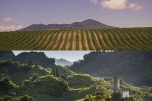 Non solo Vulture, ma anche Conegliano e Valdobbiadene: le “Città del Vino Italiane” 2026 raddoppiano