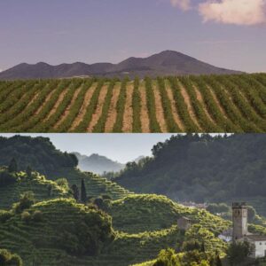 Non solo Vulture, ma anche Conegliano e Valdobbiadene: le “Città del Vino Italiane” 2026 raddoppiano