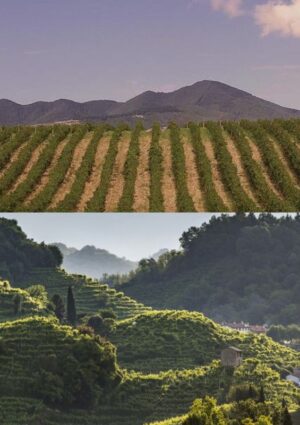 Non solo Vulture, ma anche Conegliano e Valdobbiadene: le “Città del Vino Italiane” 2026 raddoppiano