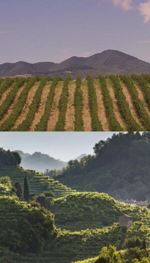 Non solo Vulture, ma anche Conegliano e Valdobbiadene: le “Città del Vino Italiane” 2026 raddoppiano